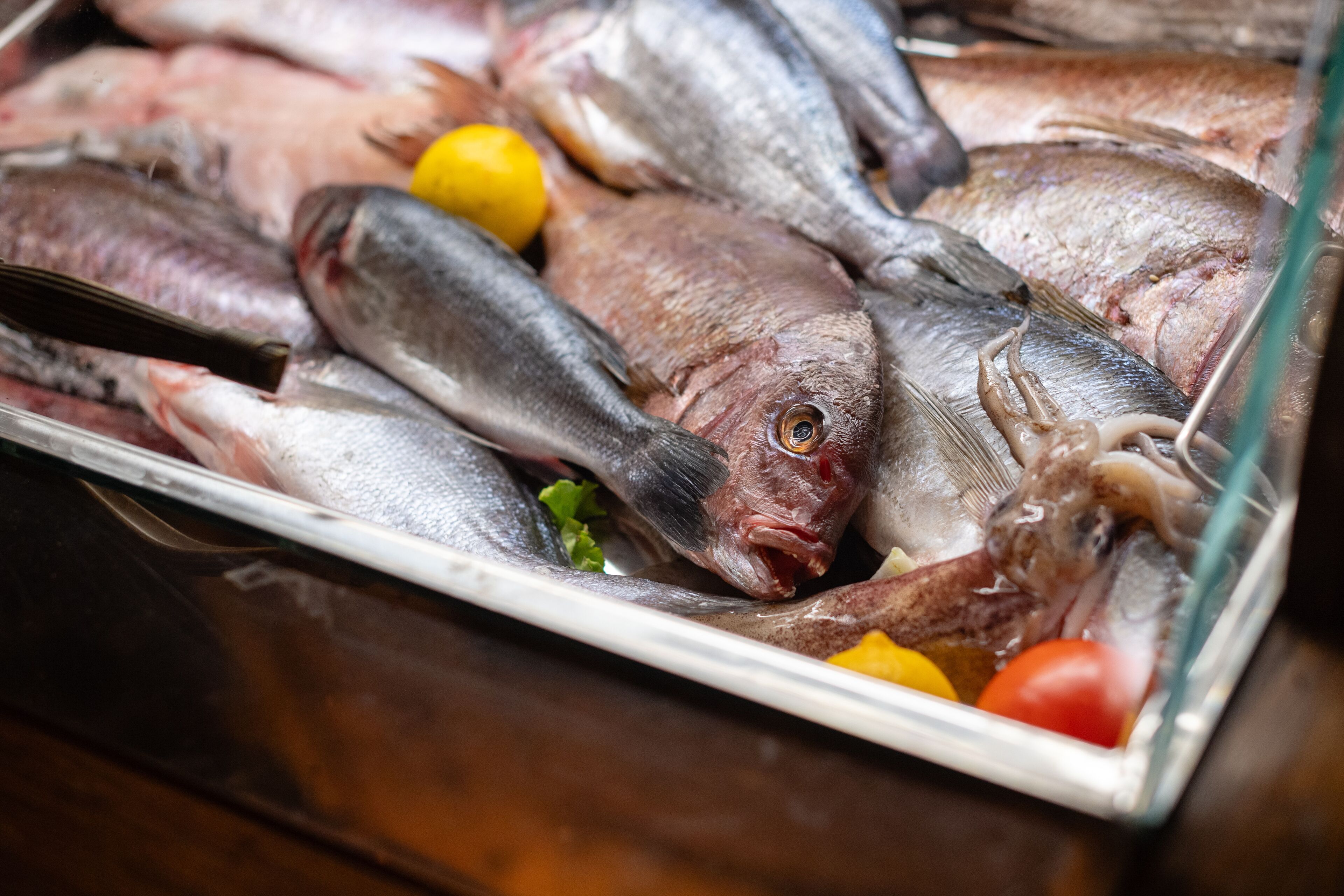 Verschiedene frische Fische werden in einem Glasbehälter präsentiert.