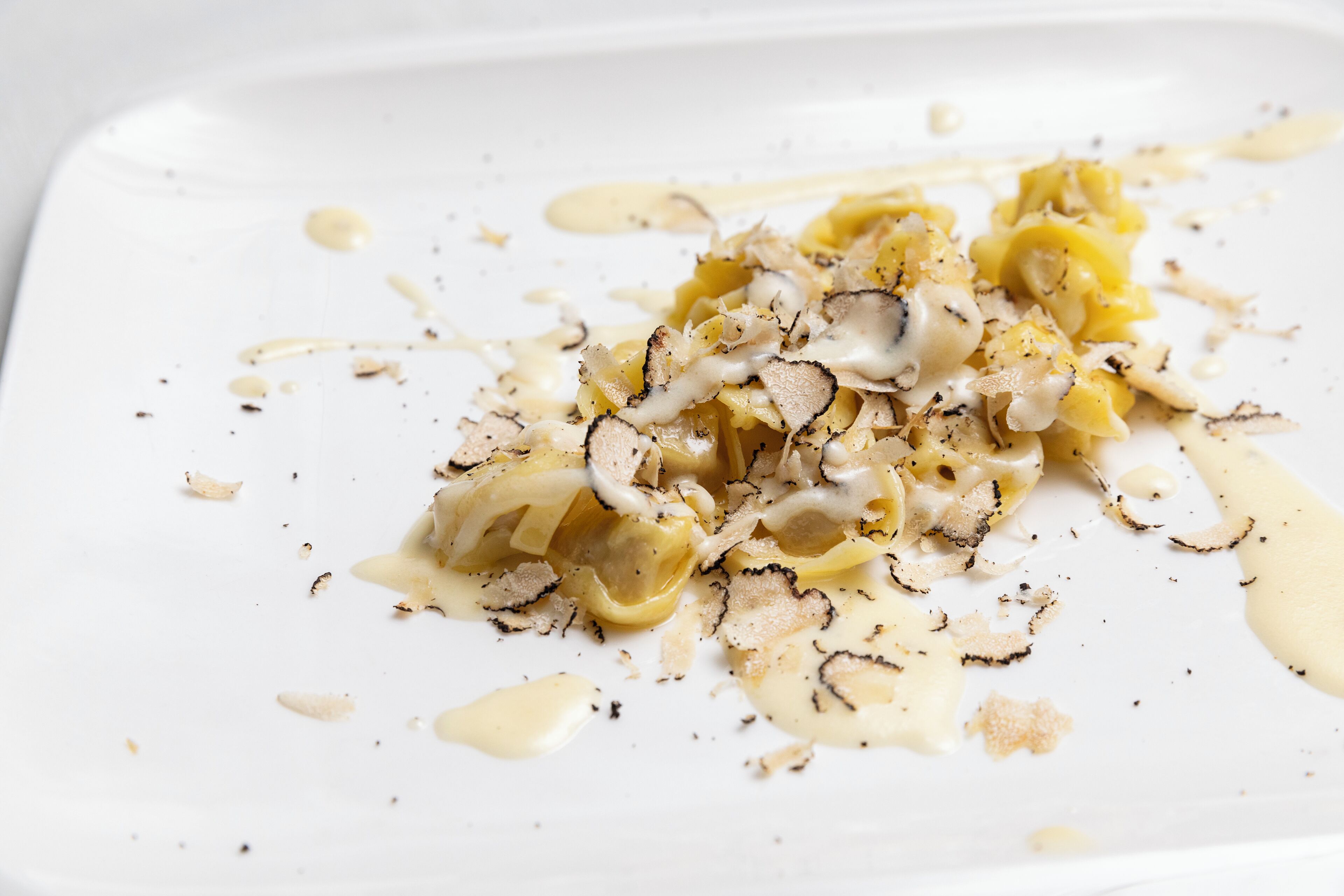 A white plate with pasta, mushrooms, and a creamy sauce.