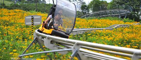 A vehicle with a transparent canopy and a person inside, moving through a field of yellow flowers.