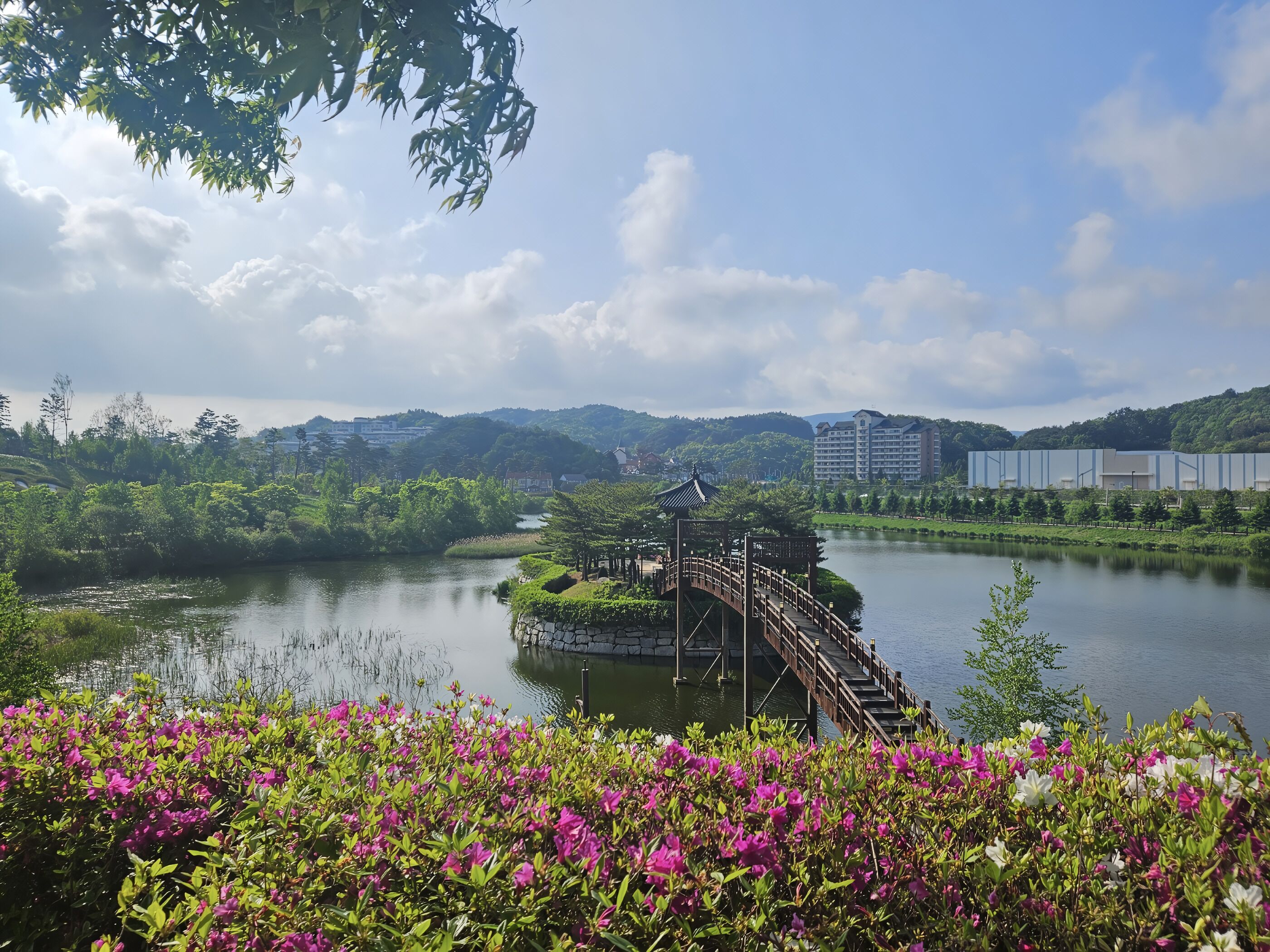 Una vista tranquila de un lago con un puente de madera que conduce a un pabellón tradicional, rodeado de exuberante follaje y flores coloridas.