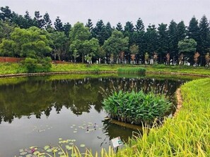View from property - South Garden Hotels and Resorts (Taoyuan City)