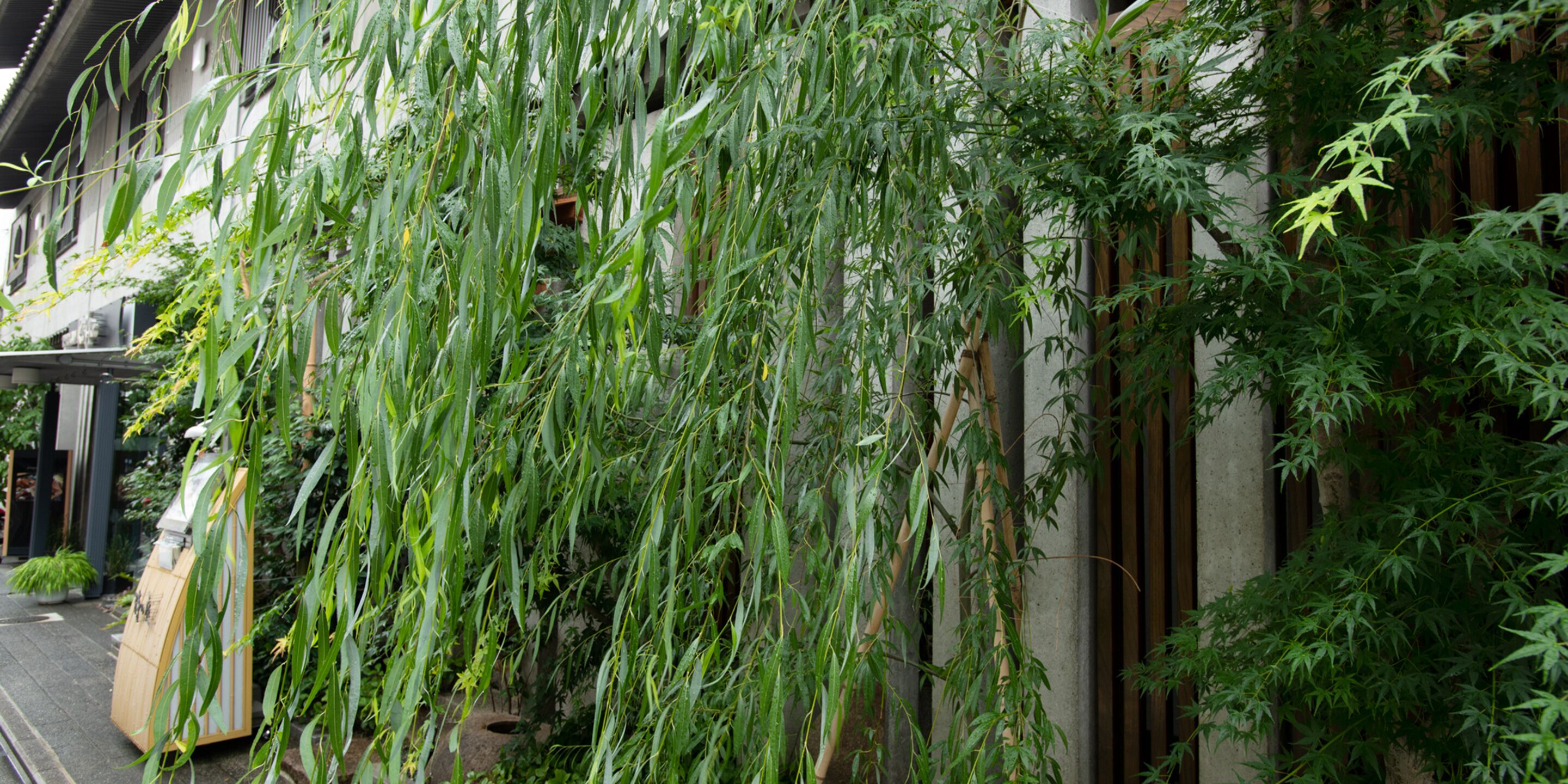 Foto - Ryokan Kohro