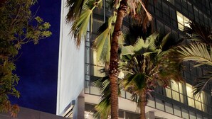 Un'area salotto all'aperto con tavoli e sedie, palme e un edificio moderno con ampie finestre sullo sfondo.