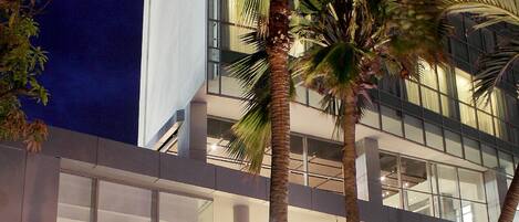 An outdoor seating area with tables and chairs, palm trees, and a modern building with large windows in the background.