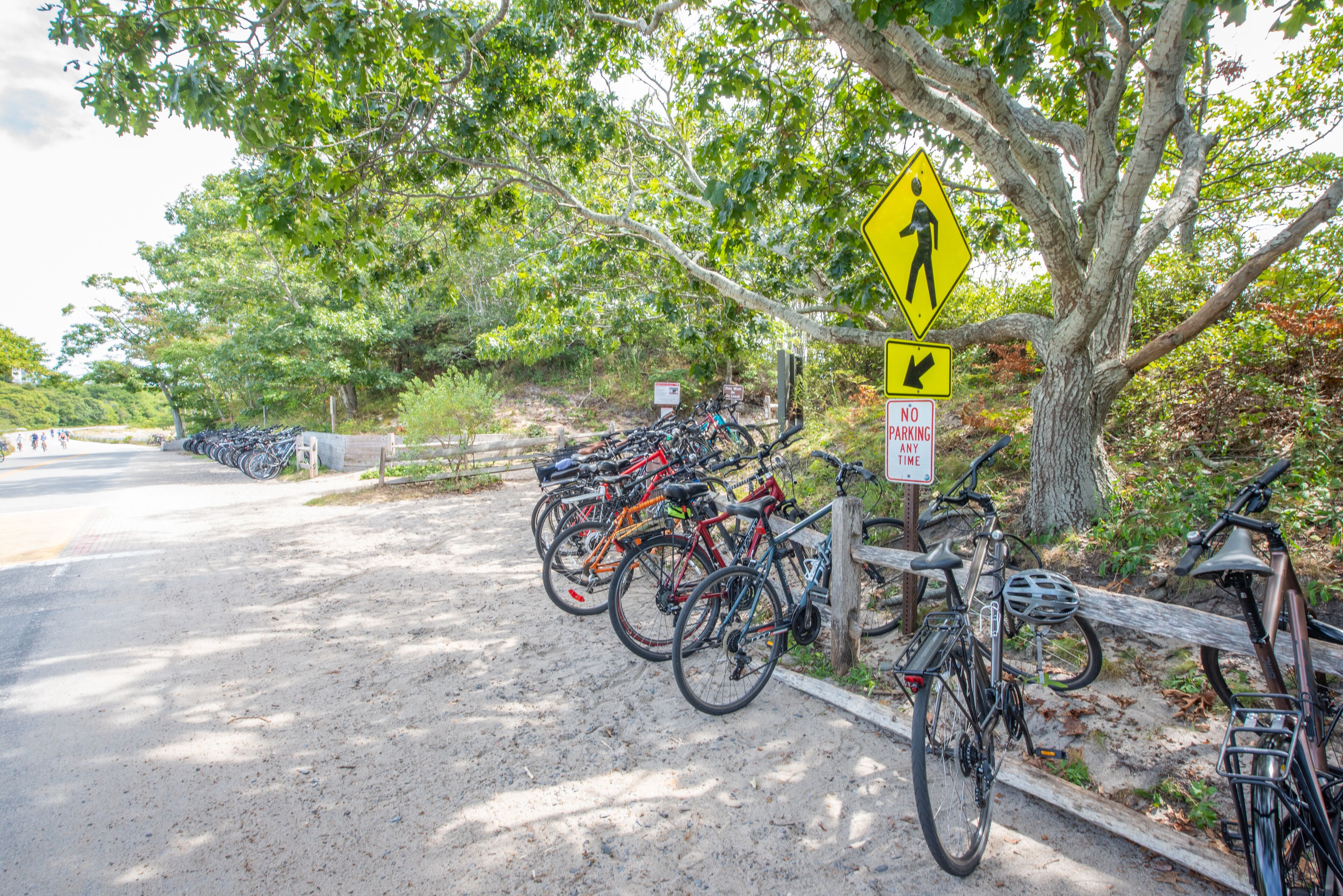 A paved path with bicycles parked on the side, a pedestrian crossing sign, and a 'No Parking' sign.