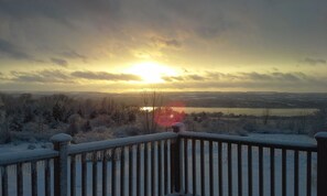 View from property - The Fox and the Grapes Bed & Breakfast (Lodi)