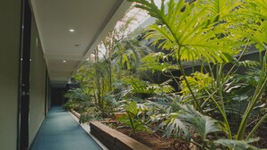 Vườn
