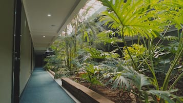花園