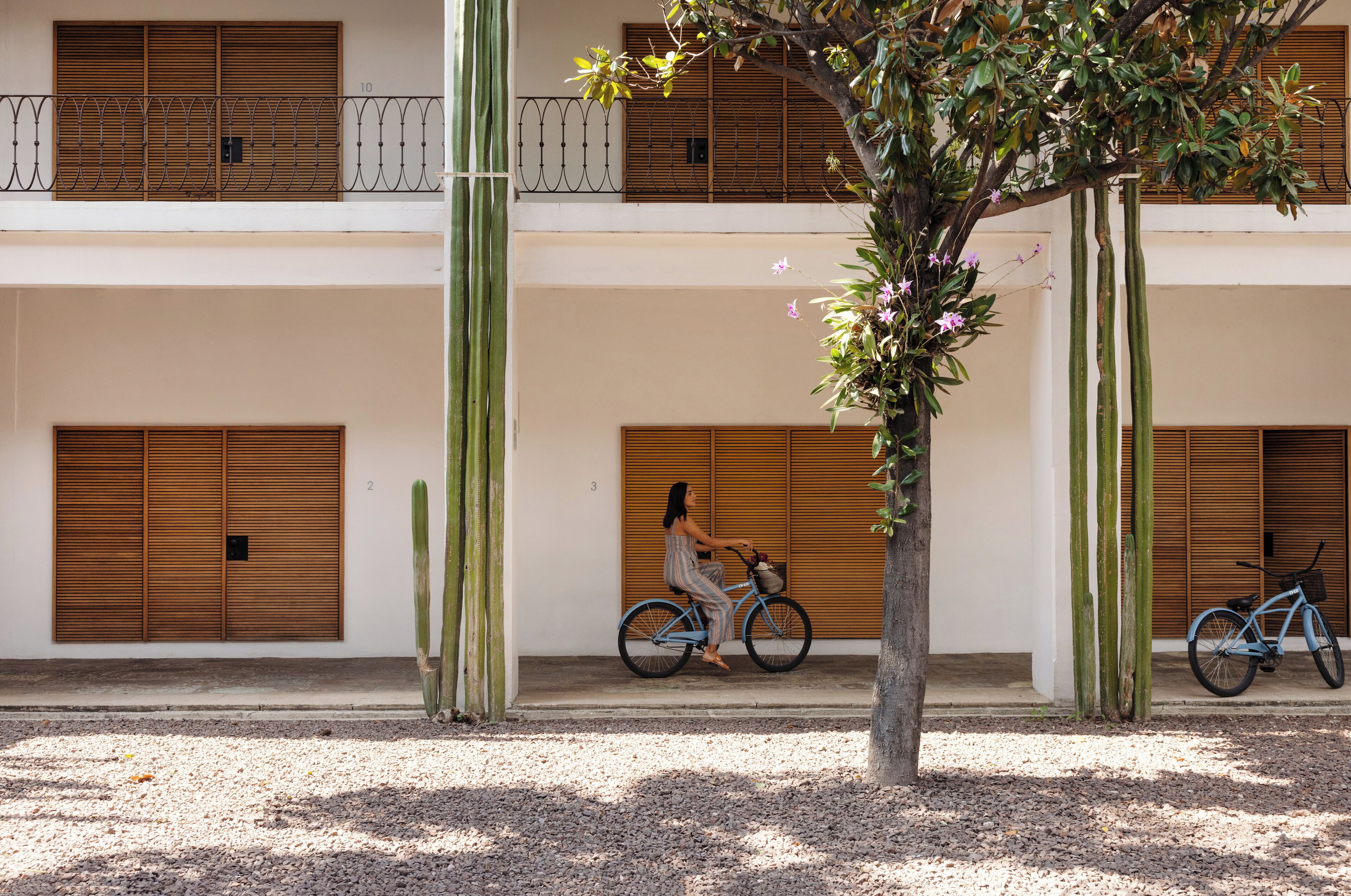 Foto - Hotel Azul de Oaxaca