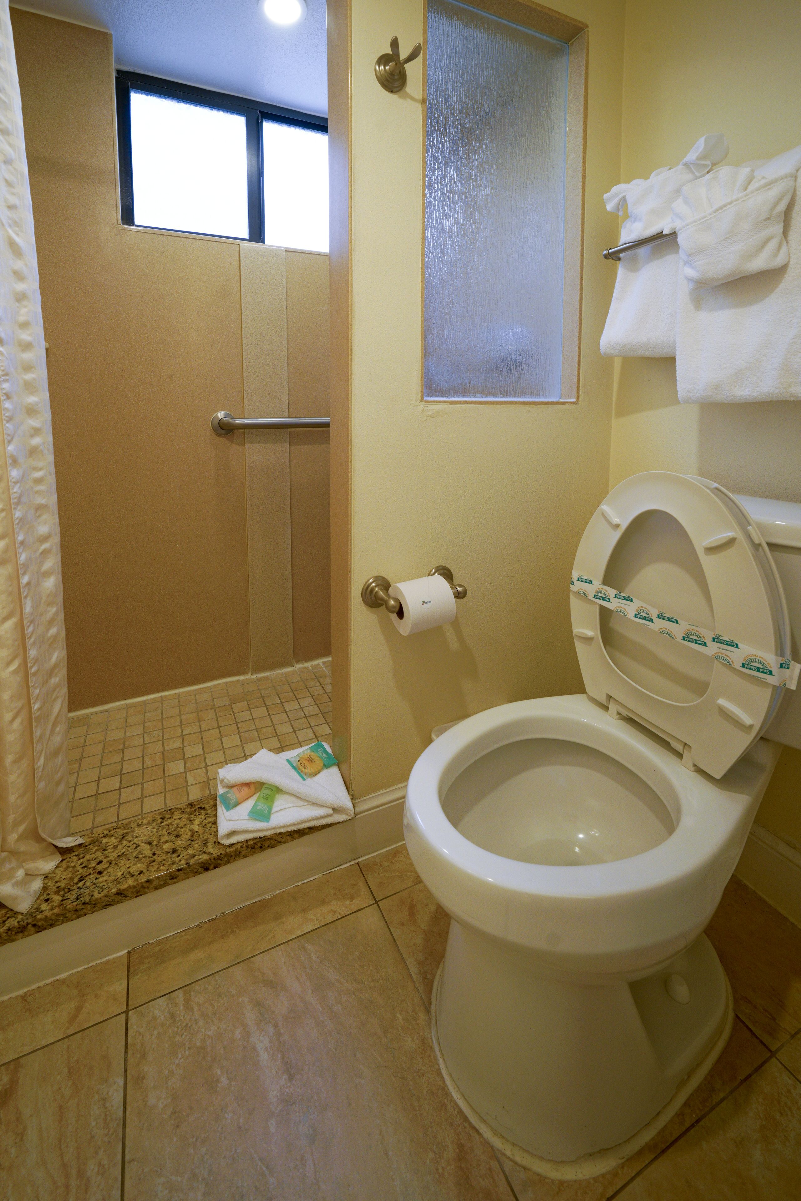 A bathroom with a toilet, a shower, and a window.