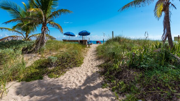 A sandy beach path with palm trees and blue umbrellas. - La Costa Beach Club (Pompano Beach)
