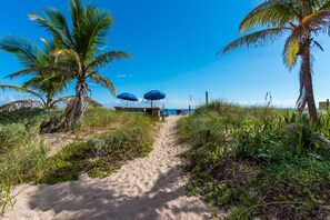 A sandy beach path with palm trees and blue umbrellas. - La Costa Beach Club (Pompano Beach)