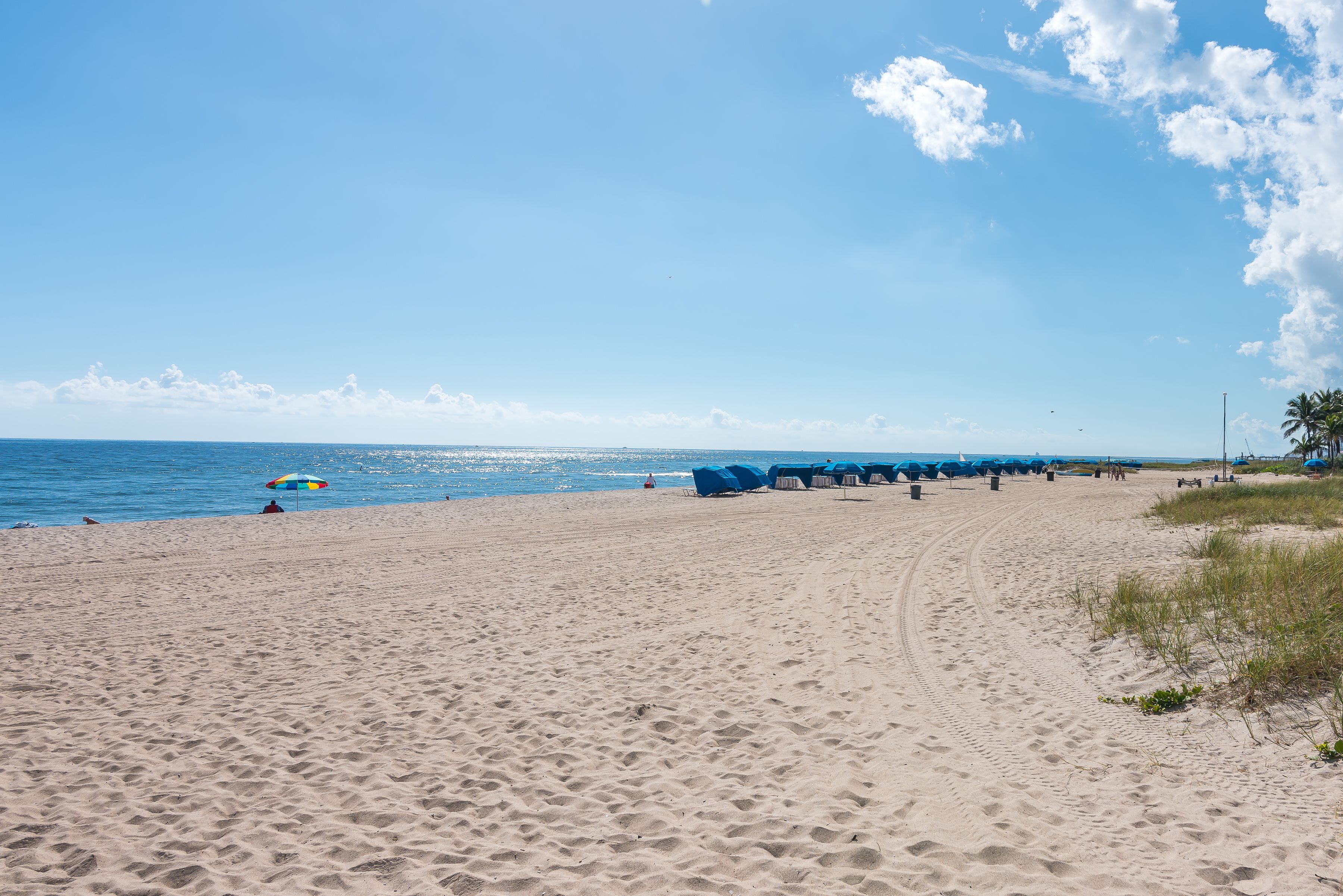 A sandy beach with blue lounge chairs and umbrellas, a clear sky, and the ocean in the background.