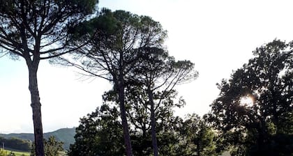 Casale Villa Raino