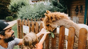 Children's activities