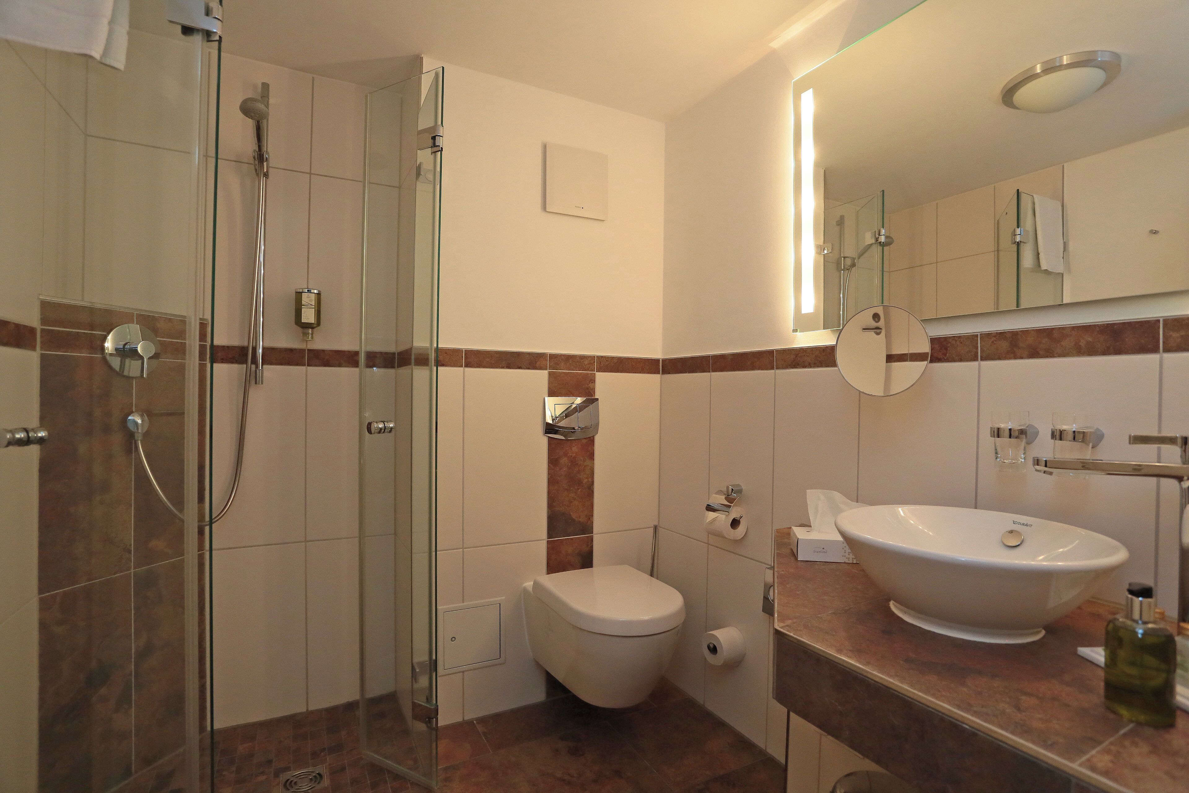 A modern bathroom with a glass shower enclosure, a toilet, a sink, and a mirror.