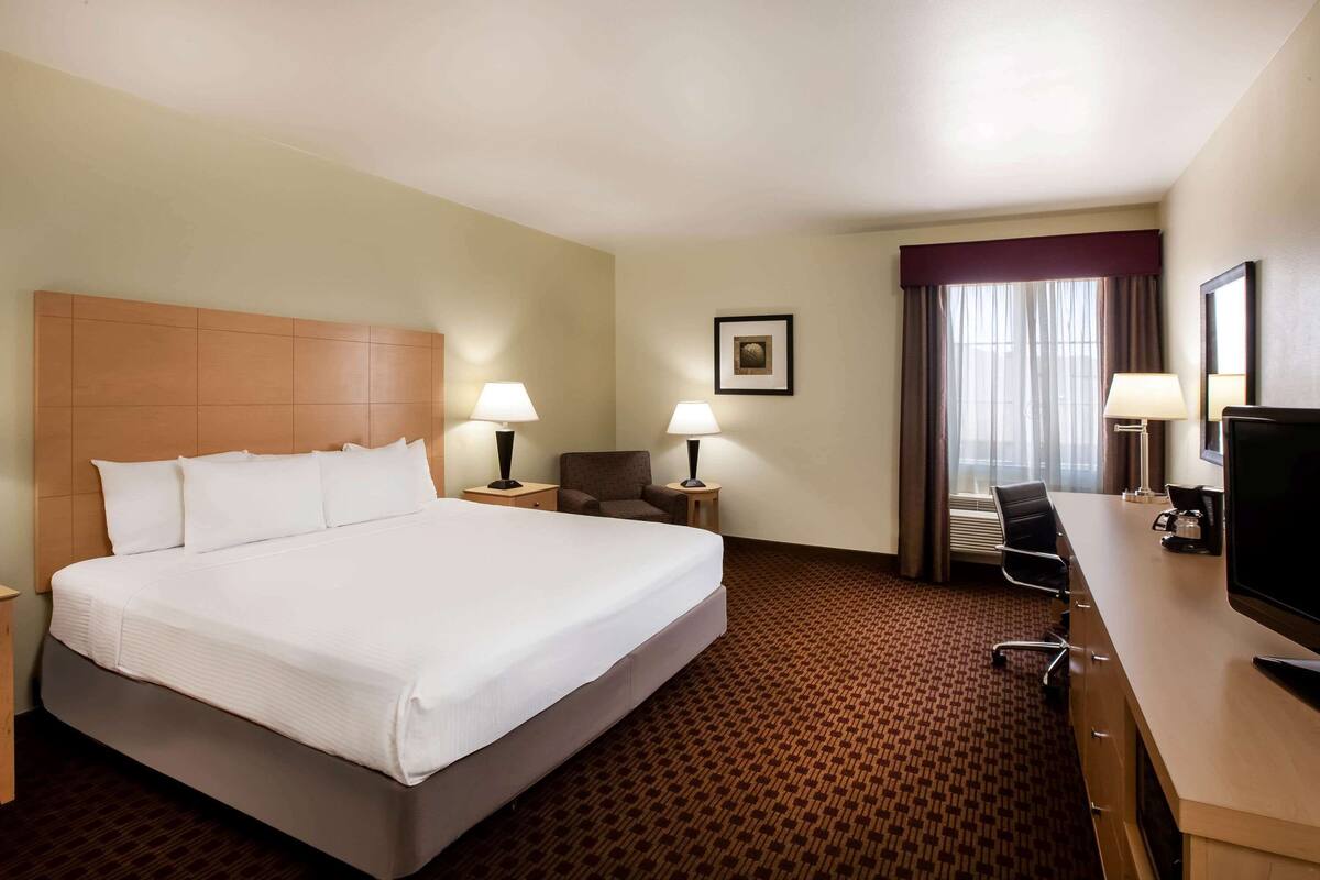 Een hotelkamer met een groot bed, twee nachtkastjes met lampen, een bureau met een stoel, een televisie en een ingelijst schilderij aan de muur.
