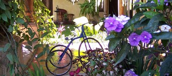 Hotel Vilaflor