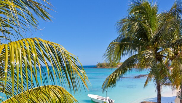 A beachside view with a boat, palm trees, and a beach umbrella. - Le Beachclub Serviced Apartments and Villas (Grand-Baie)