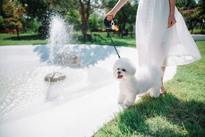 A person in a white dress walking a small white dog near a fountain.