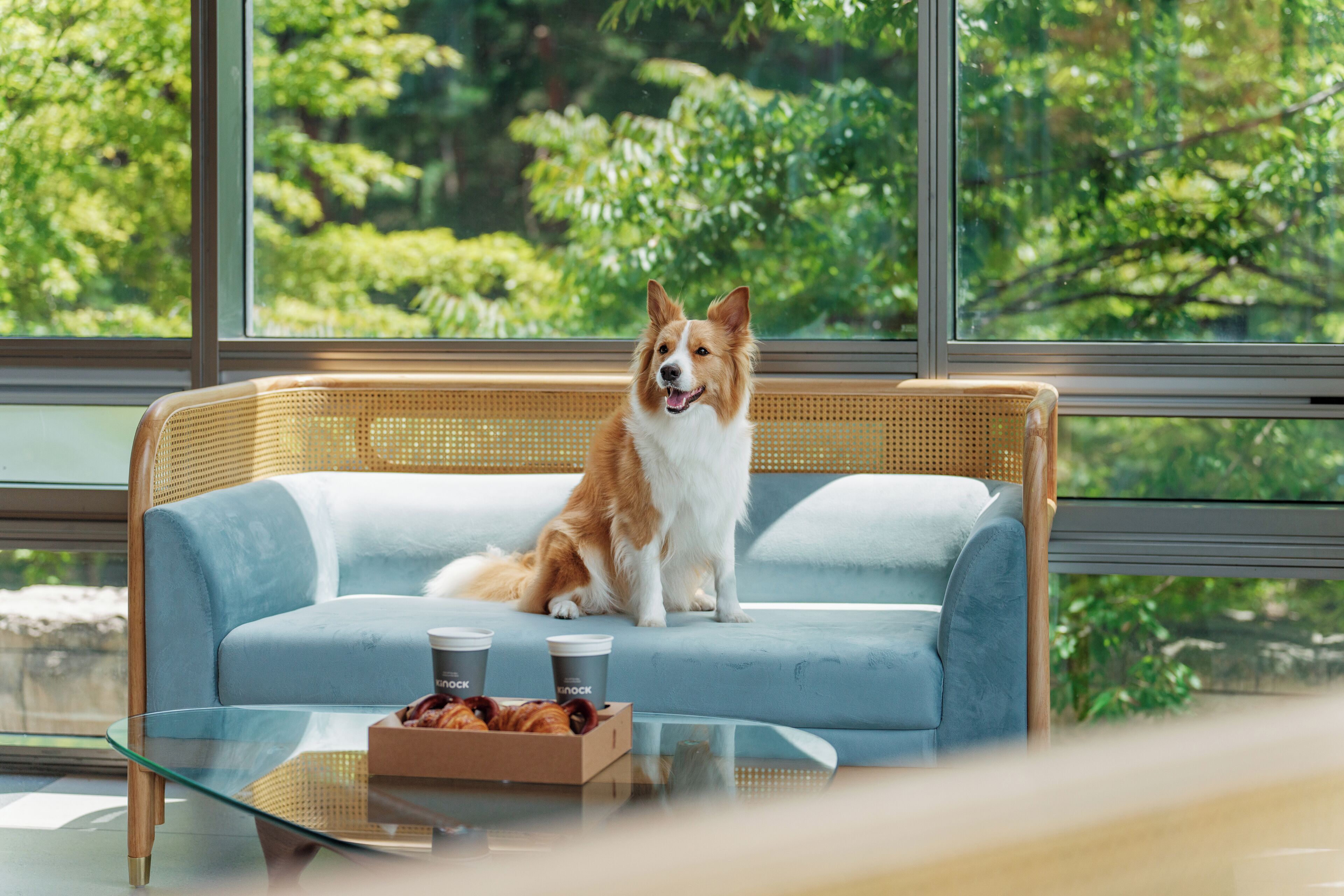 breakfast and brunch served