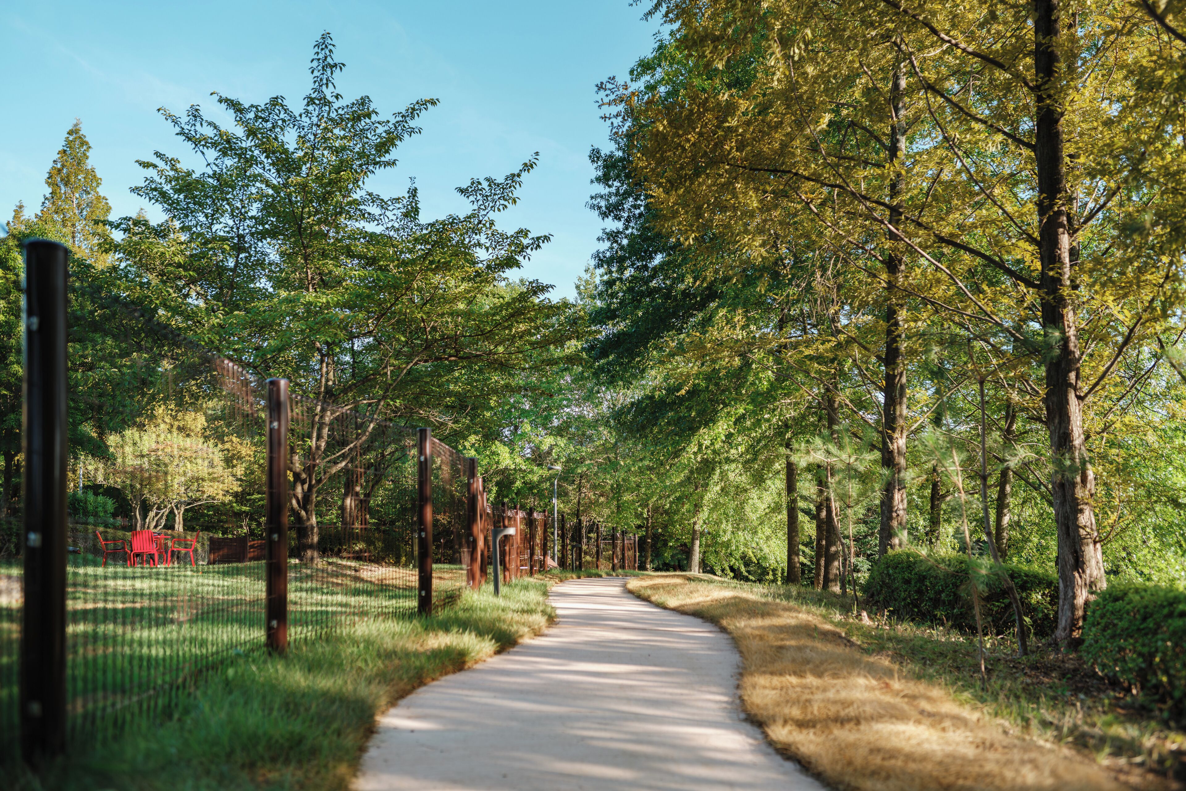 pet-friendly amenities