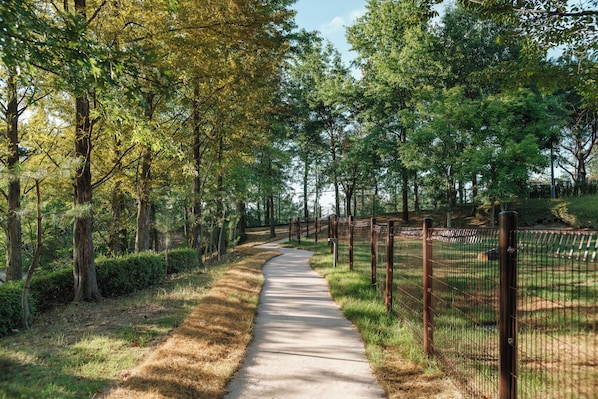 Pet-friendly amenities