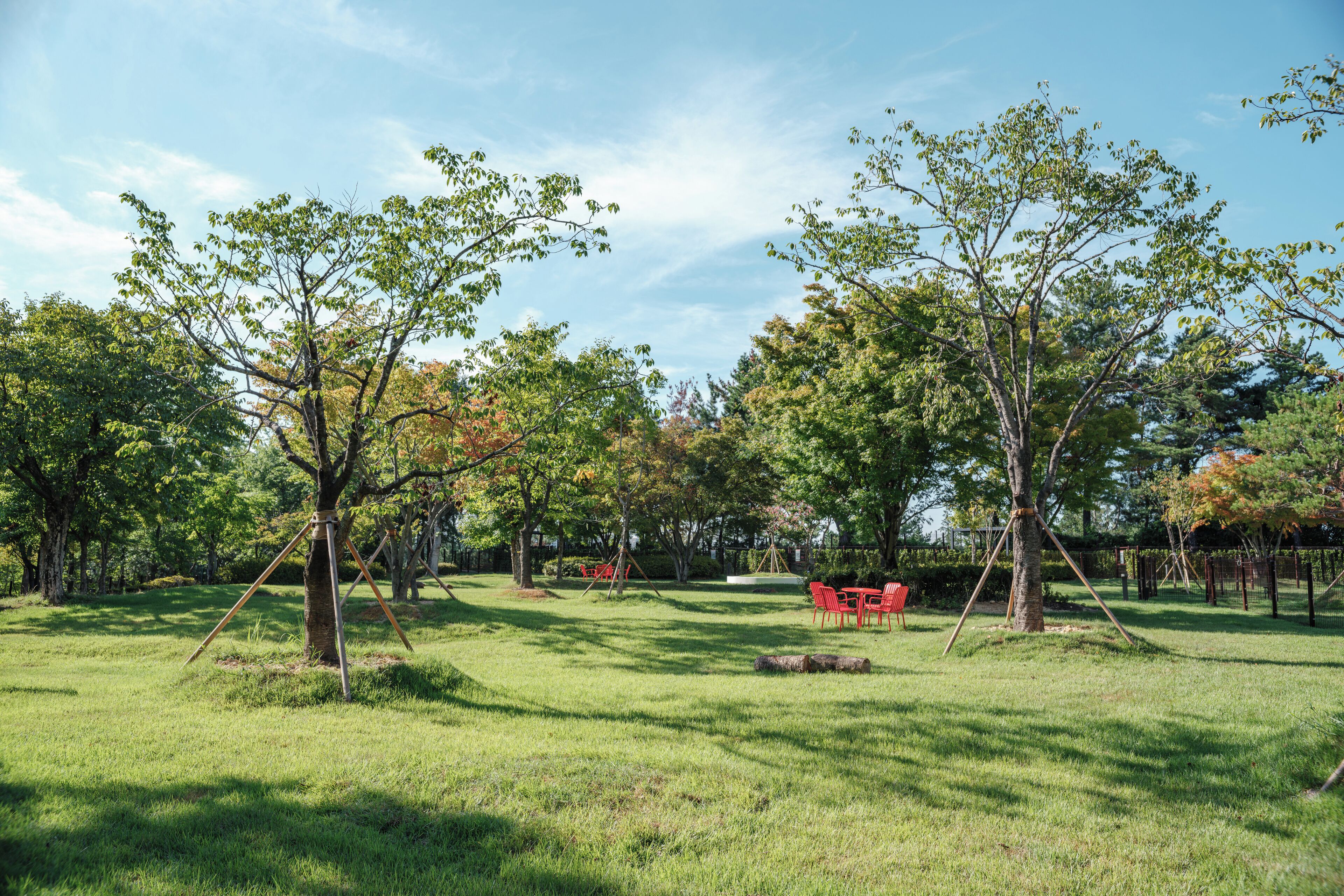 pet-friendly amenities