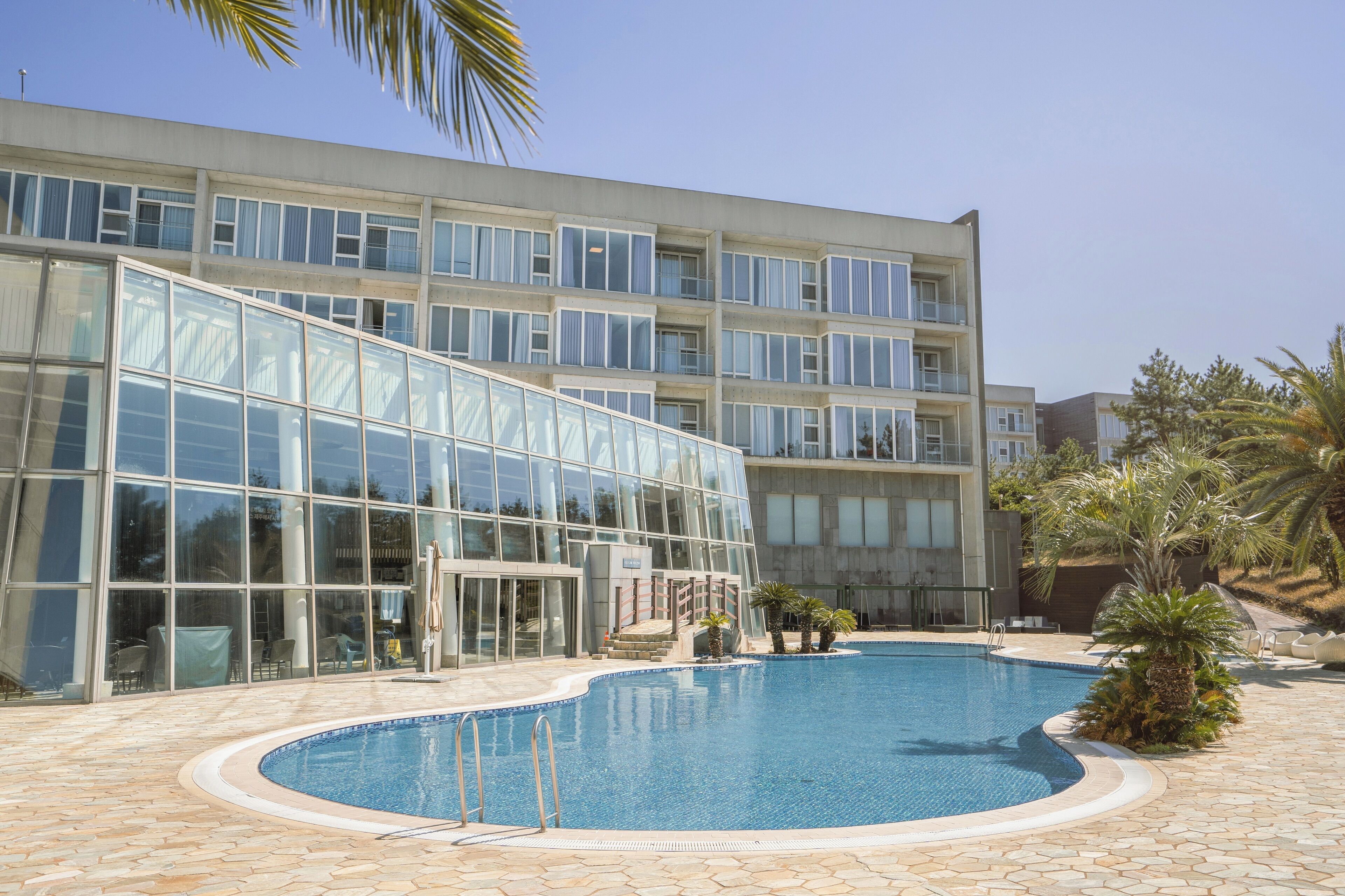 Un hotel moderno con piscina, grandes ventanales y una palmera.
