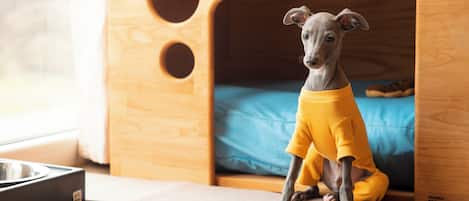 Un perro dentro de un corral de madera con un cojín azul.