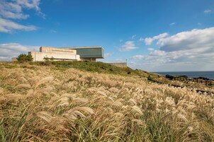 Un edificio moderno con techo plano y amplias ventanas, ubicado en una colina cubierta de hierba y vistas al mar.