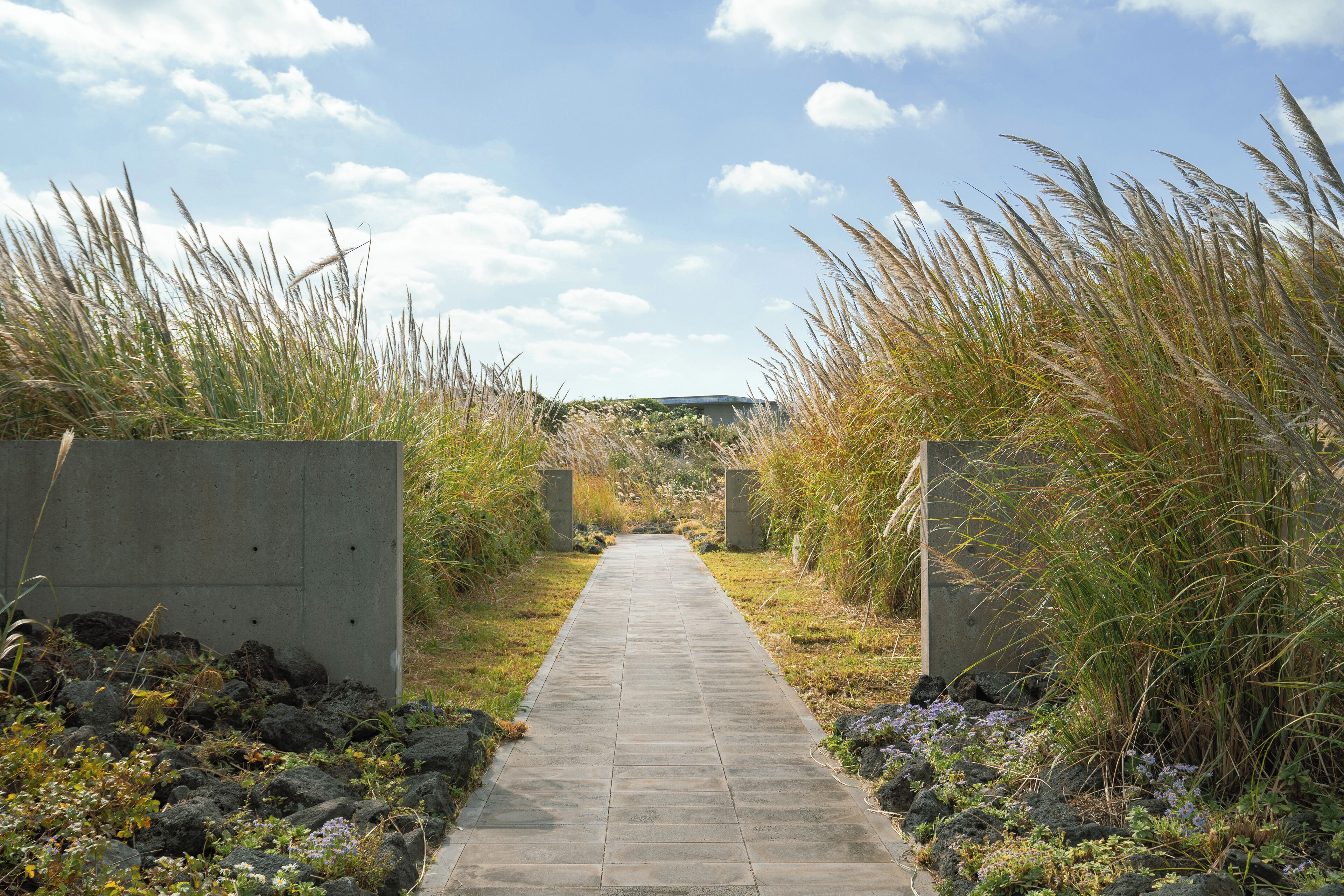 Un chemin de béton bordé de hautes herbes et de rochers, qui mène à une construction située au loin.