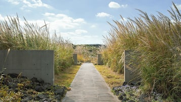 Un chemin de béton bordé de hautes herbes et de rochers, qui mène à une construction située au loin.