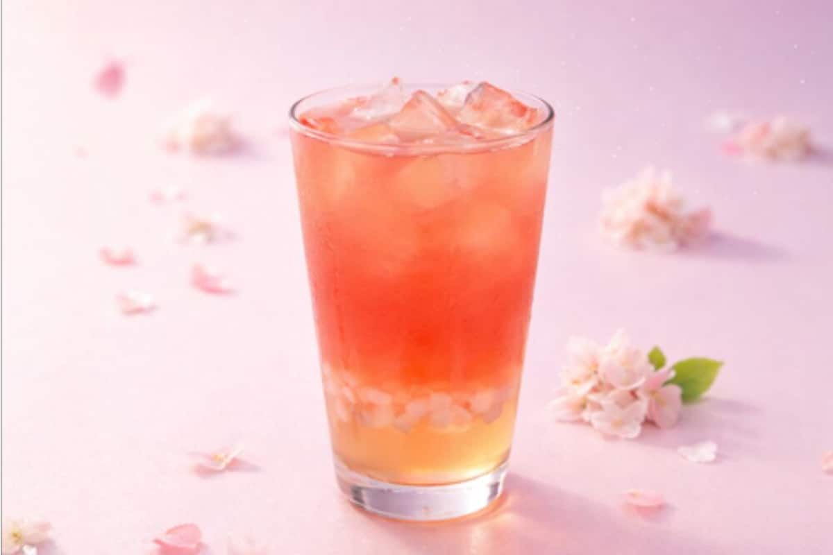 1 habitación, cubrecamas y espacio para trabajar con laptop