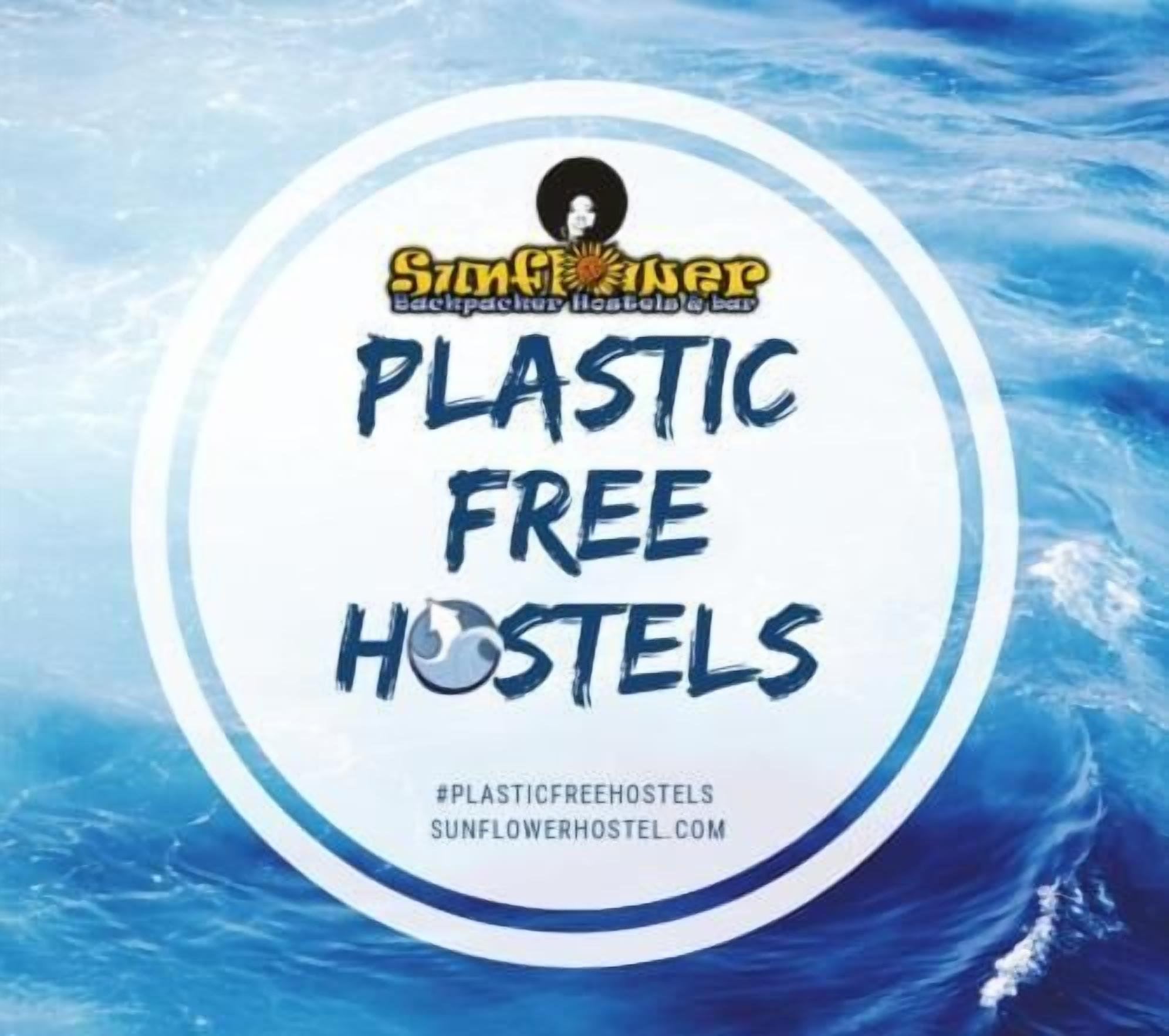 Foto - Sunflower Beach Backpacker Hostel & Bar