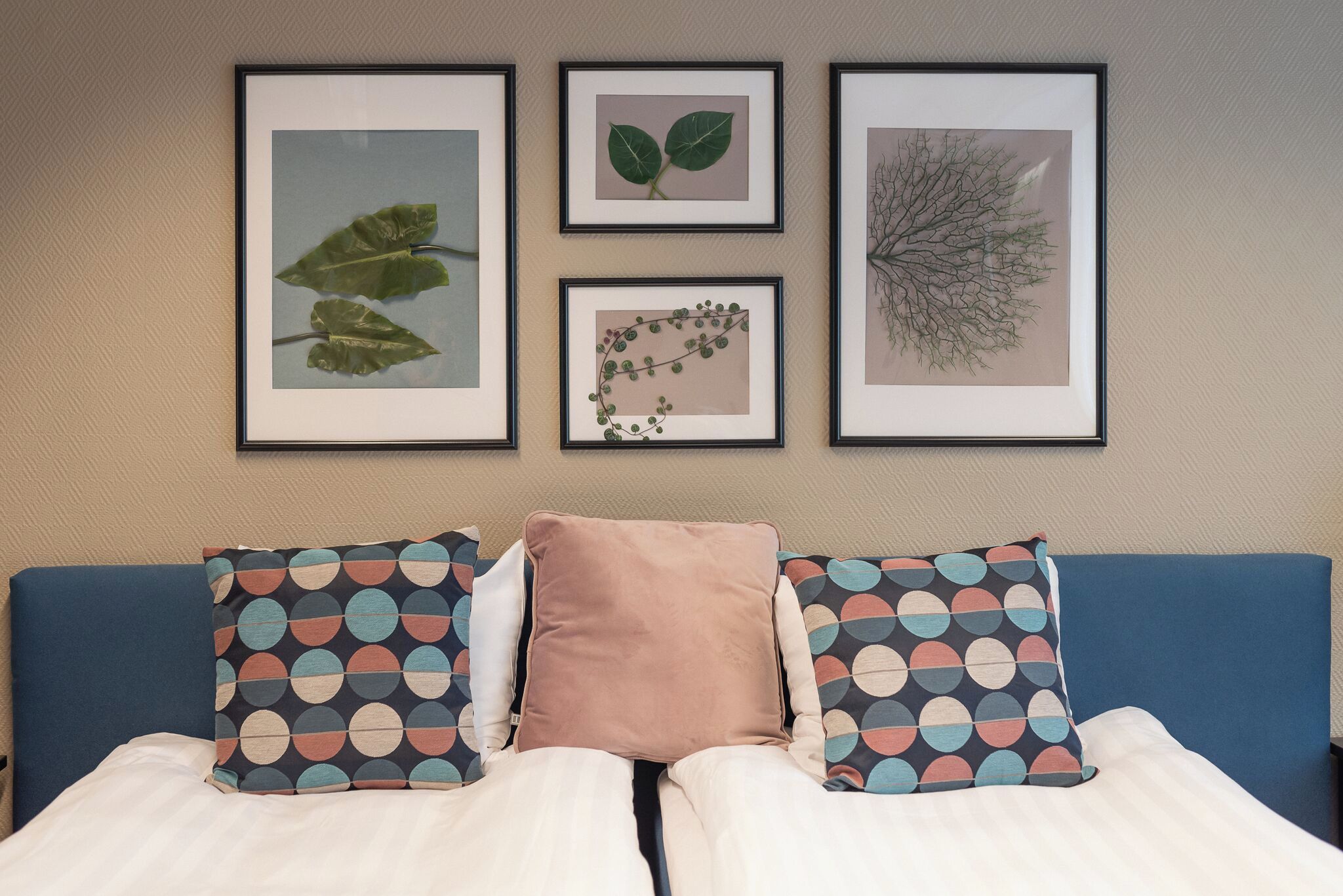 A bed with two pillows, a wall with four framed botanical prints, and a blue headboard.