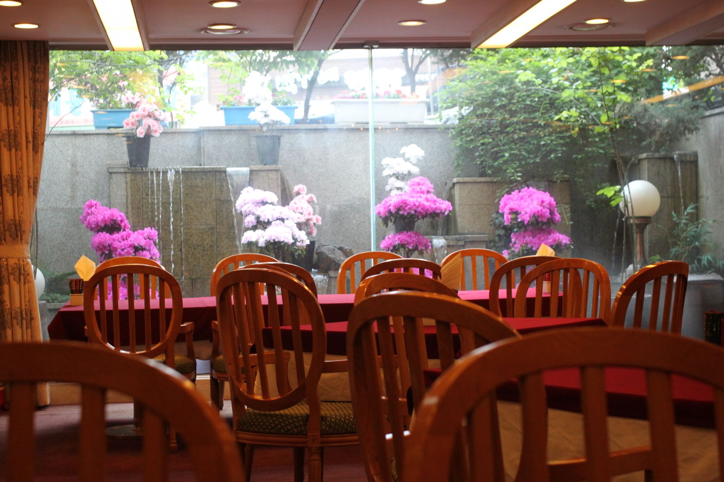 Foto - Seoul Rex Hotel