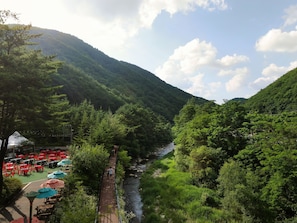 Vista desde la propiedad