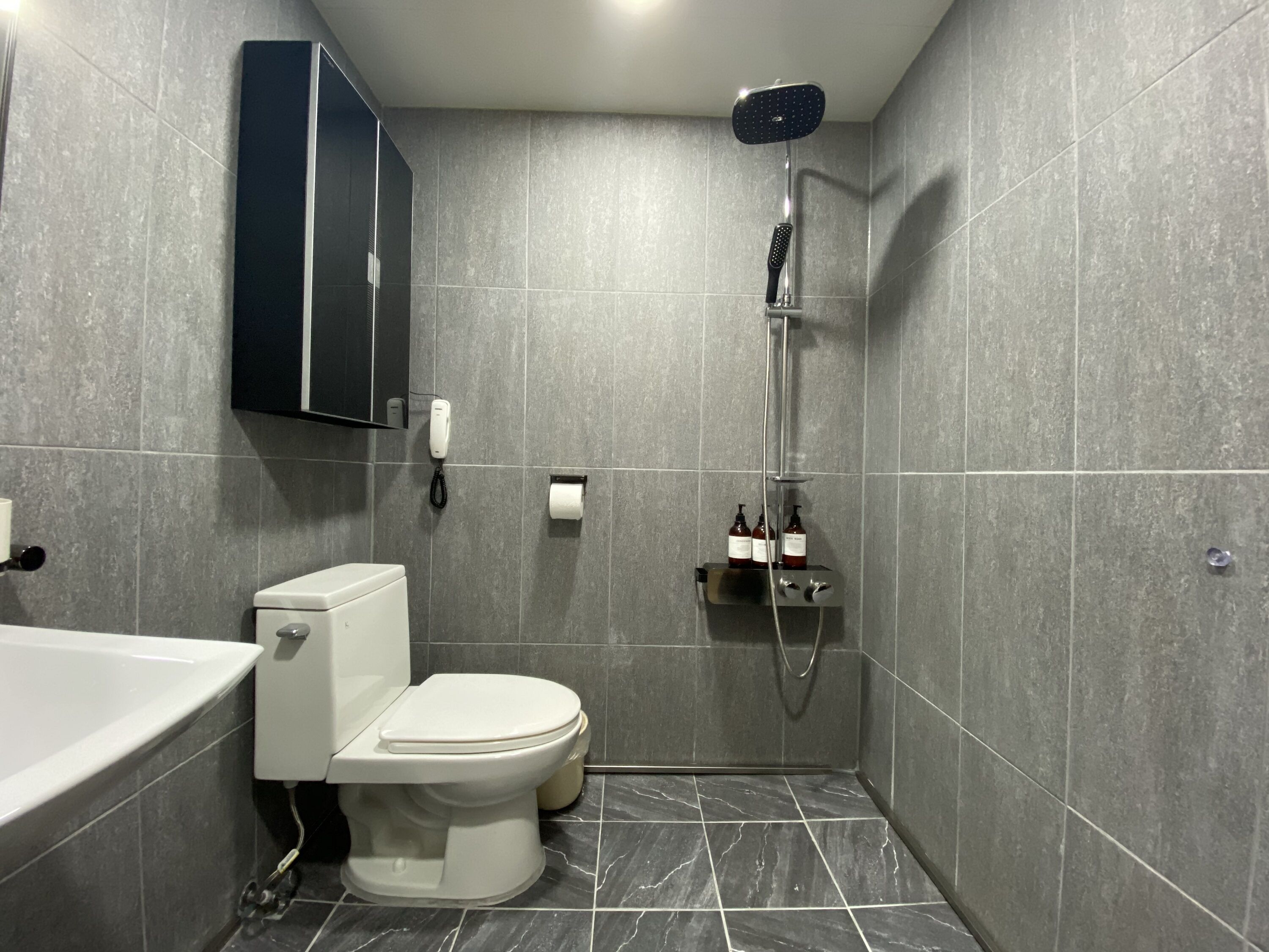 A modern bathroom with a toilet, a shower, and a bathtub.