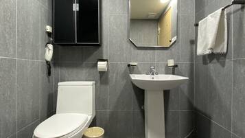 A modern bathroom with a toilet, sink, and mirror.