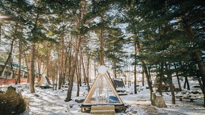 A snow-covered forest with a wooden structure in the center, surrounded by tall trees and rocks. - Phoenix Hotel Pyeongchang (Pyeongchang)