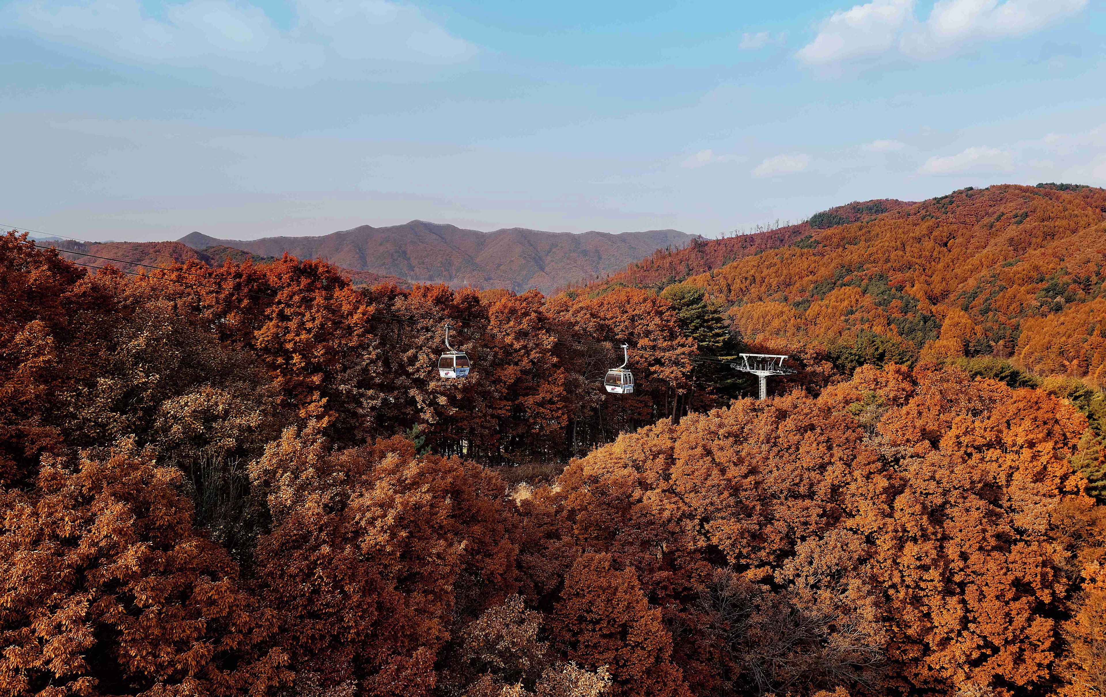 A cable car system amidst a forested mountain landscape.