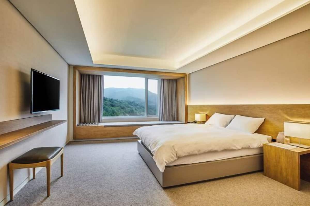 1 bedroom, down duvets, minibar, in-room safe