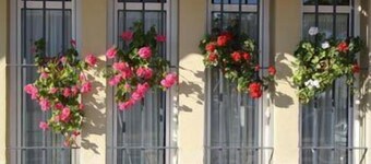 Hotel Lince
