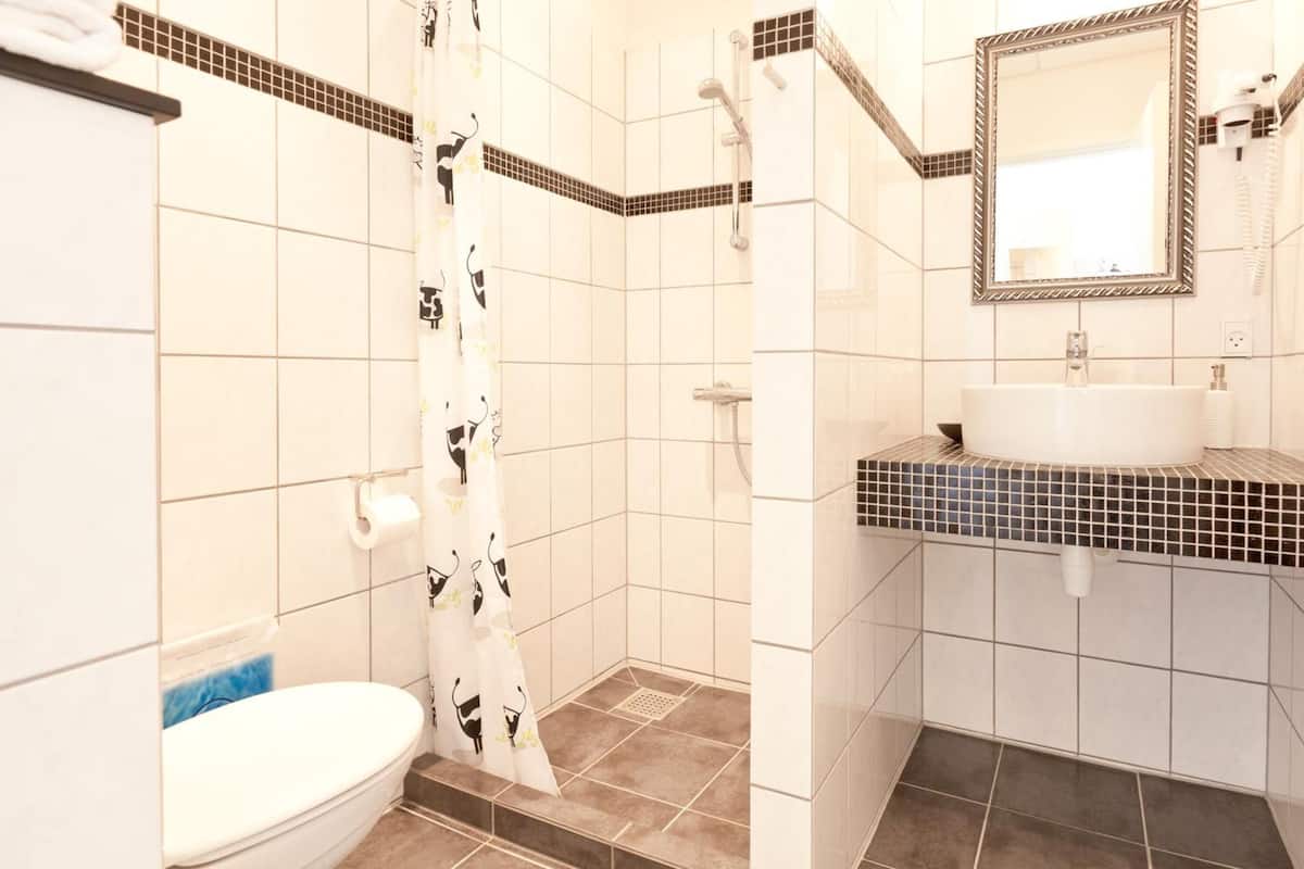 jetted bath, free toiletries, hair dryer, towels