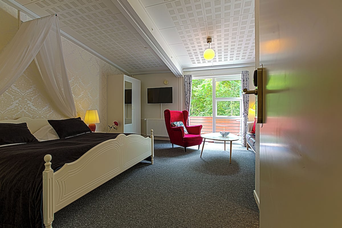 Deluxe Double Room | Desk, blackout drapes, iron/ironing board, free WiFi