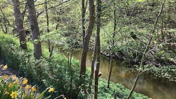 Eine natürliche Landschaft mit einem Fluss, dichtem Grün und gelben Blüten.
