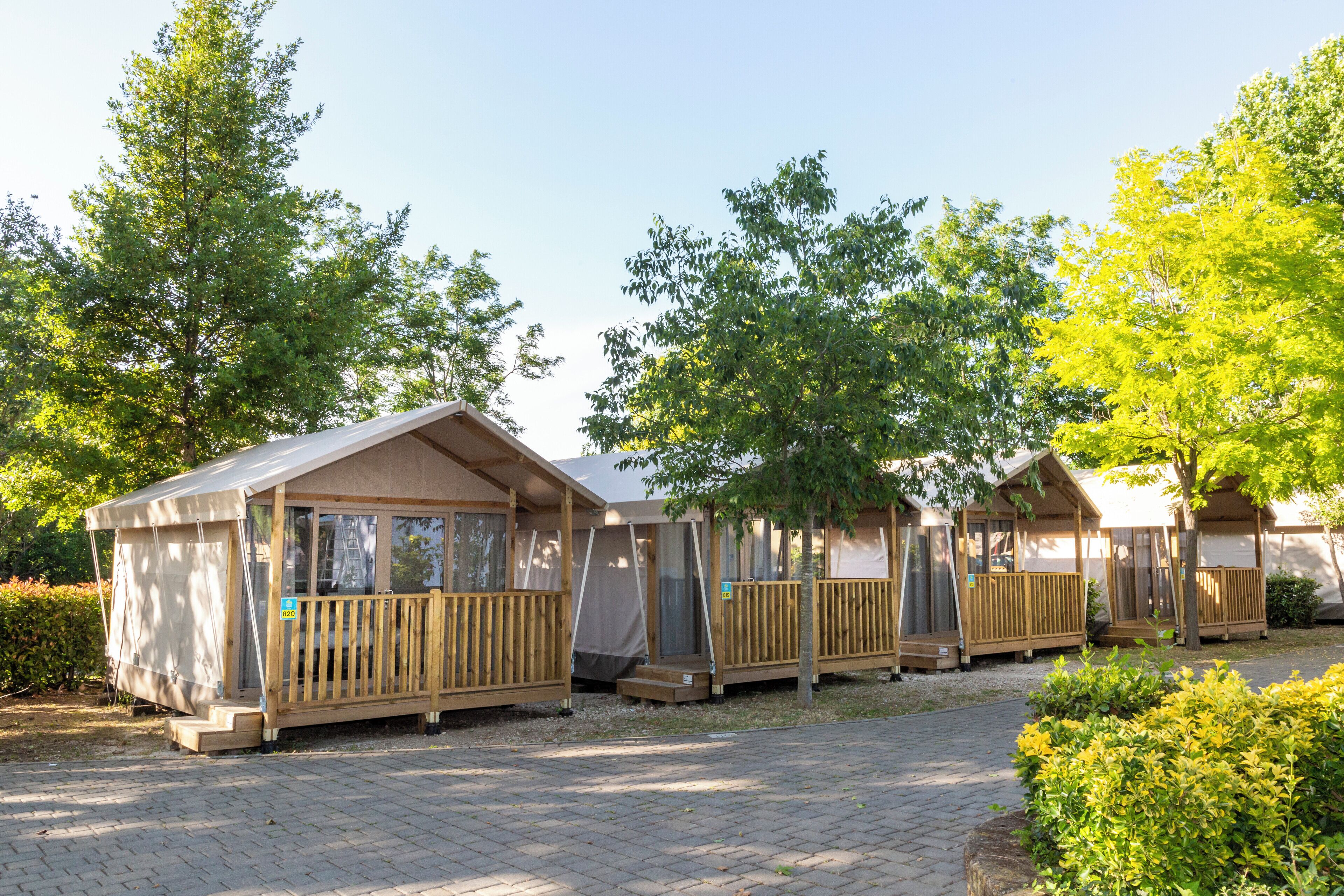 Een rij houten vakantiehuisjes met balkons, omringd door bomen en een verhard pad.