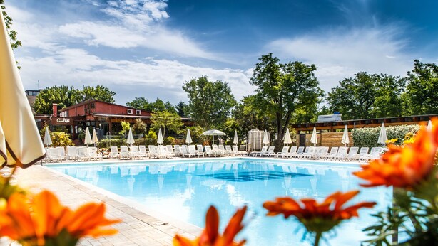 A swimming pool with lounge chairs and umbrellas, surrounded by trees and a building with a red roof.