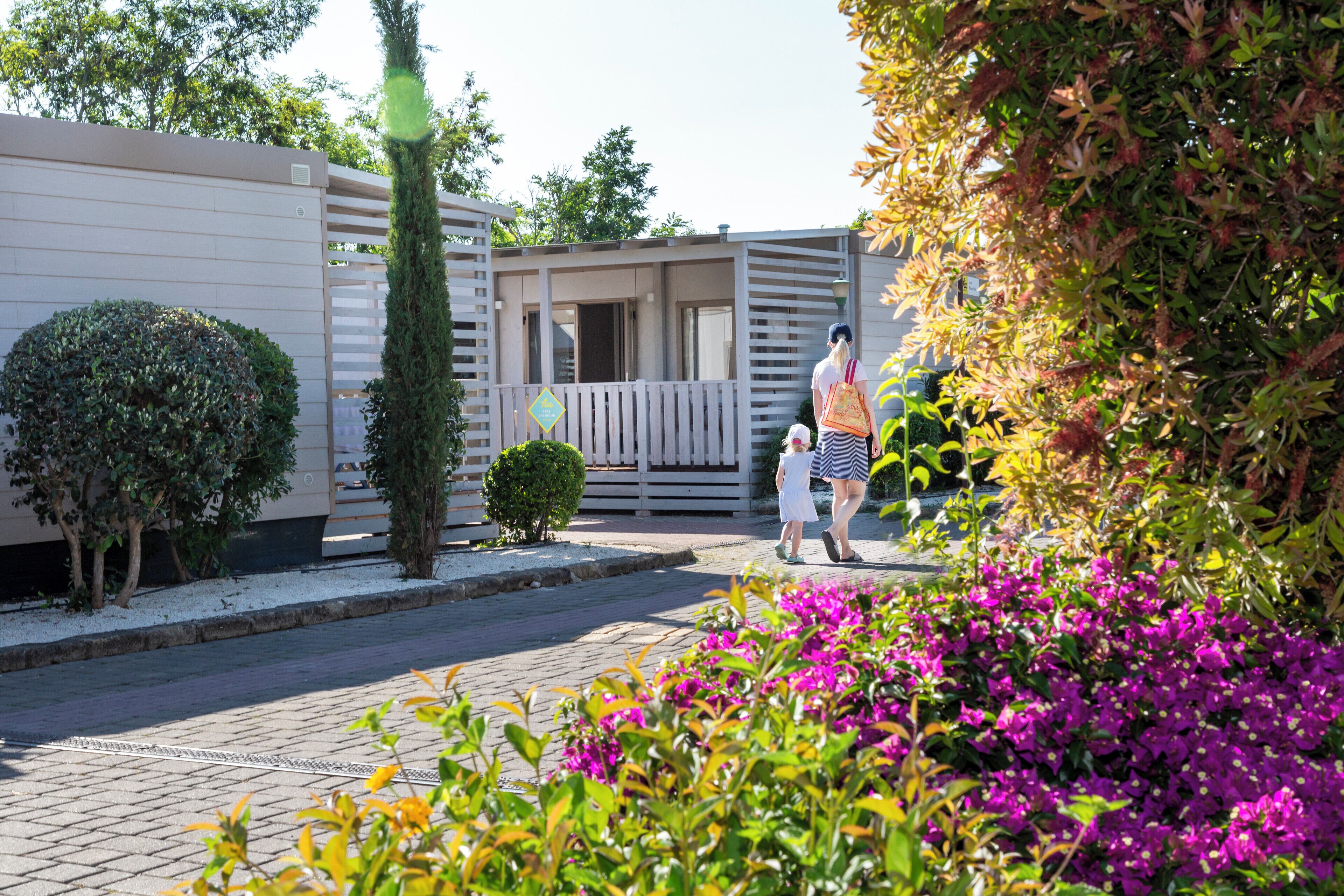 A residential area with a house, a paved walkway, and a garden with purple flowers.